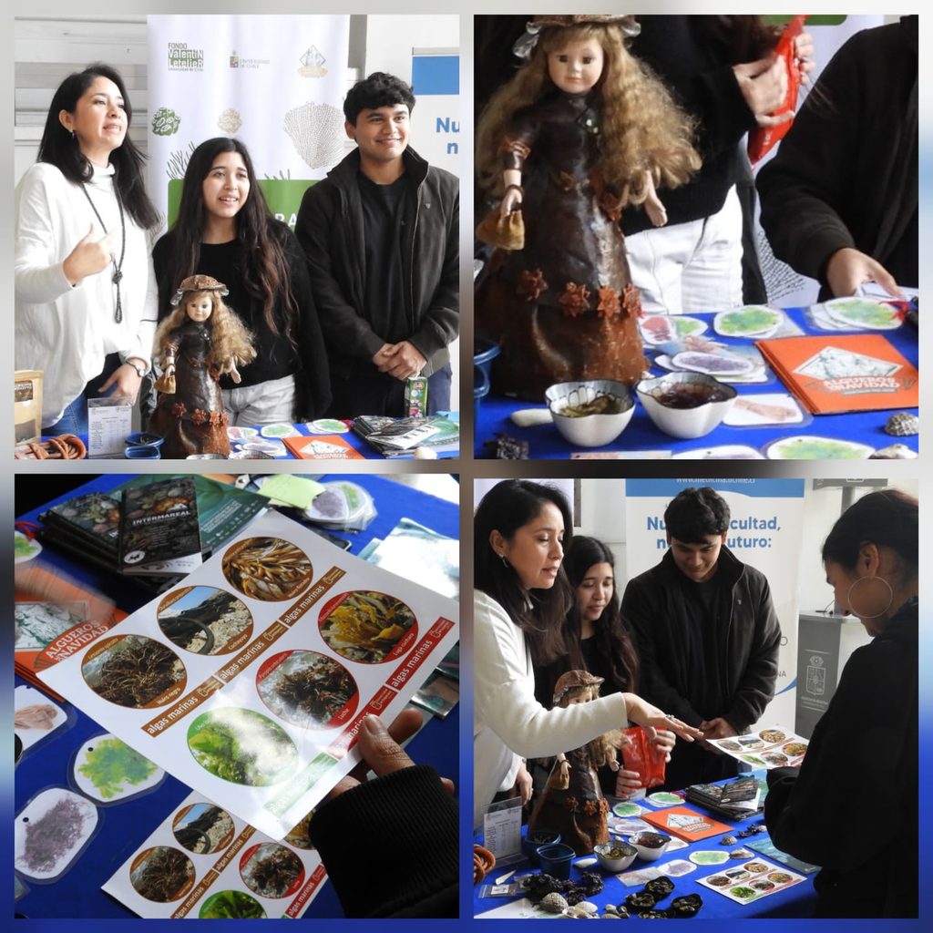 Actividad de Hierbas de Mar sobre algas y conocimiento costero.